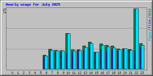 Hourly usage for July 2025