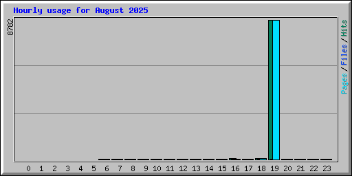 Hourly usage for August 2025