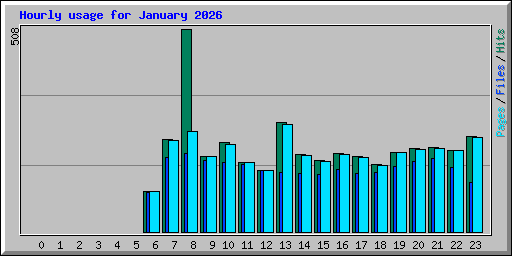 Hourly usage for January 2026